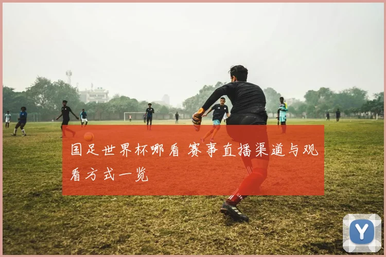 国足世界杯哪看 赛事直播渠道与观看方式一览