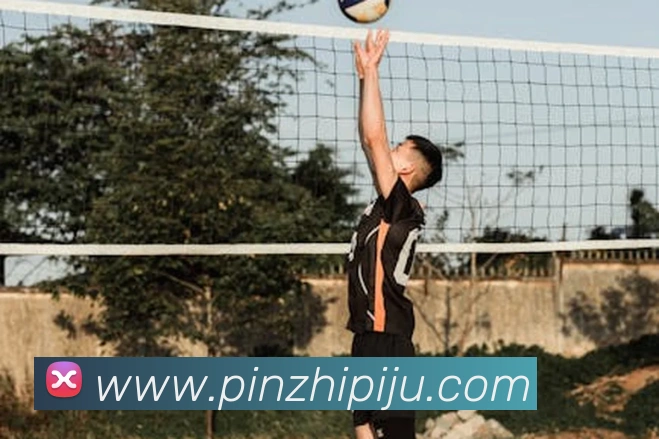 世界杯体育app官网APP 封面图